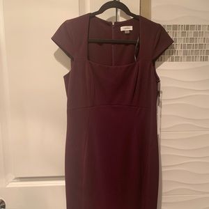 Calvin Klein Dress Size 10